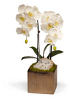 Double Orchid in Bronze Square