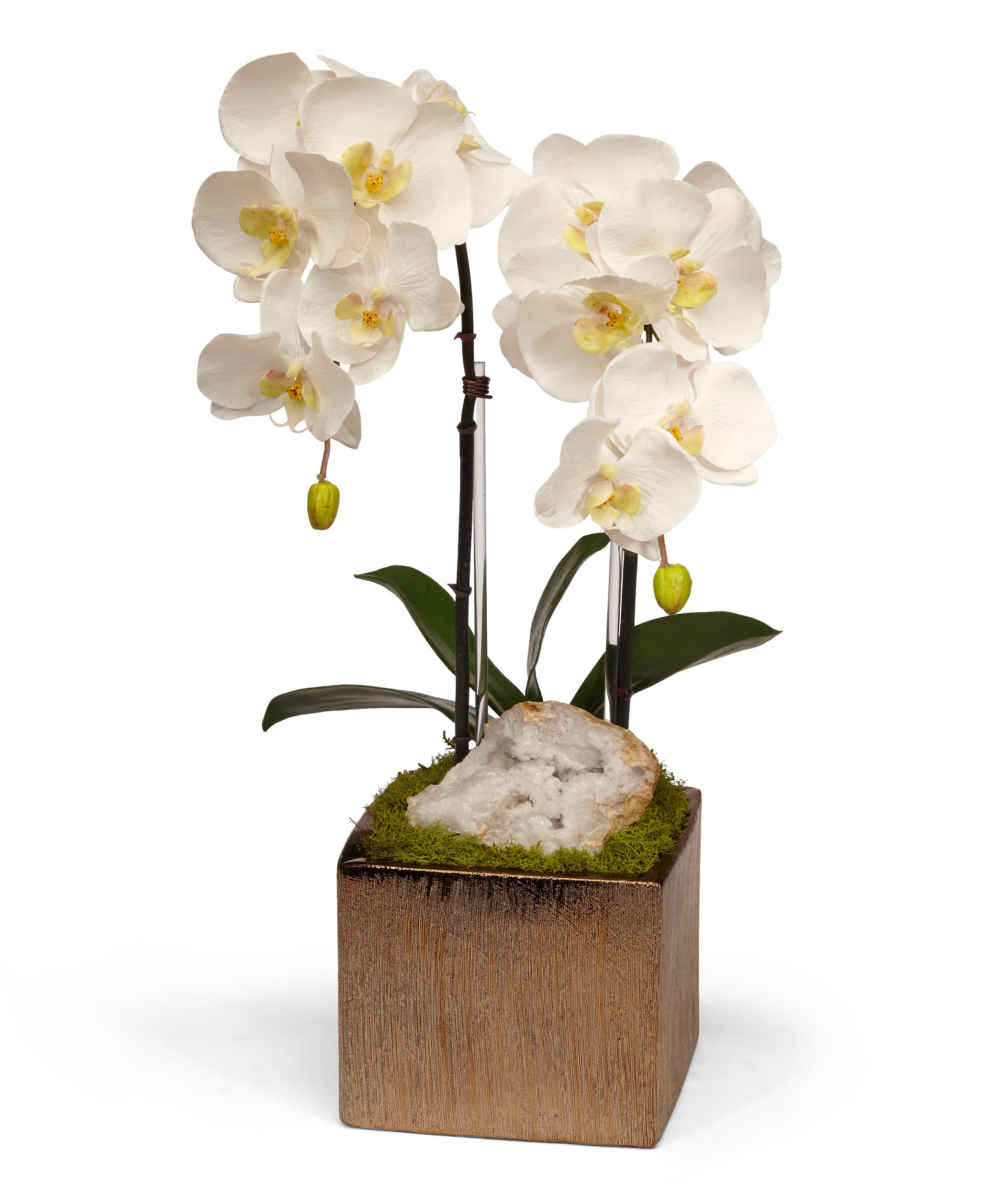 Double Orchid in Bronze Square