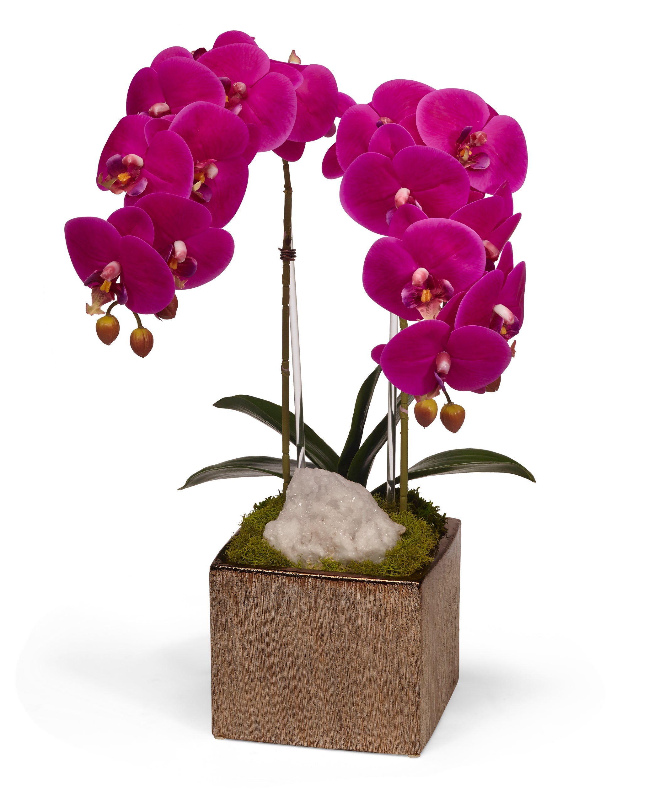 Double Orchid in Bronze Square