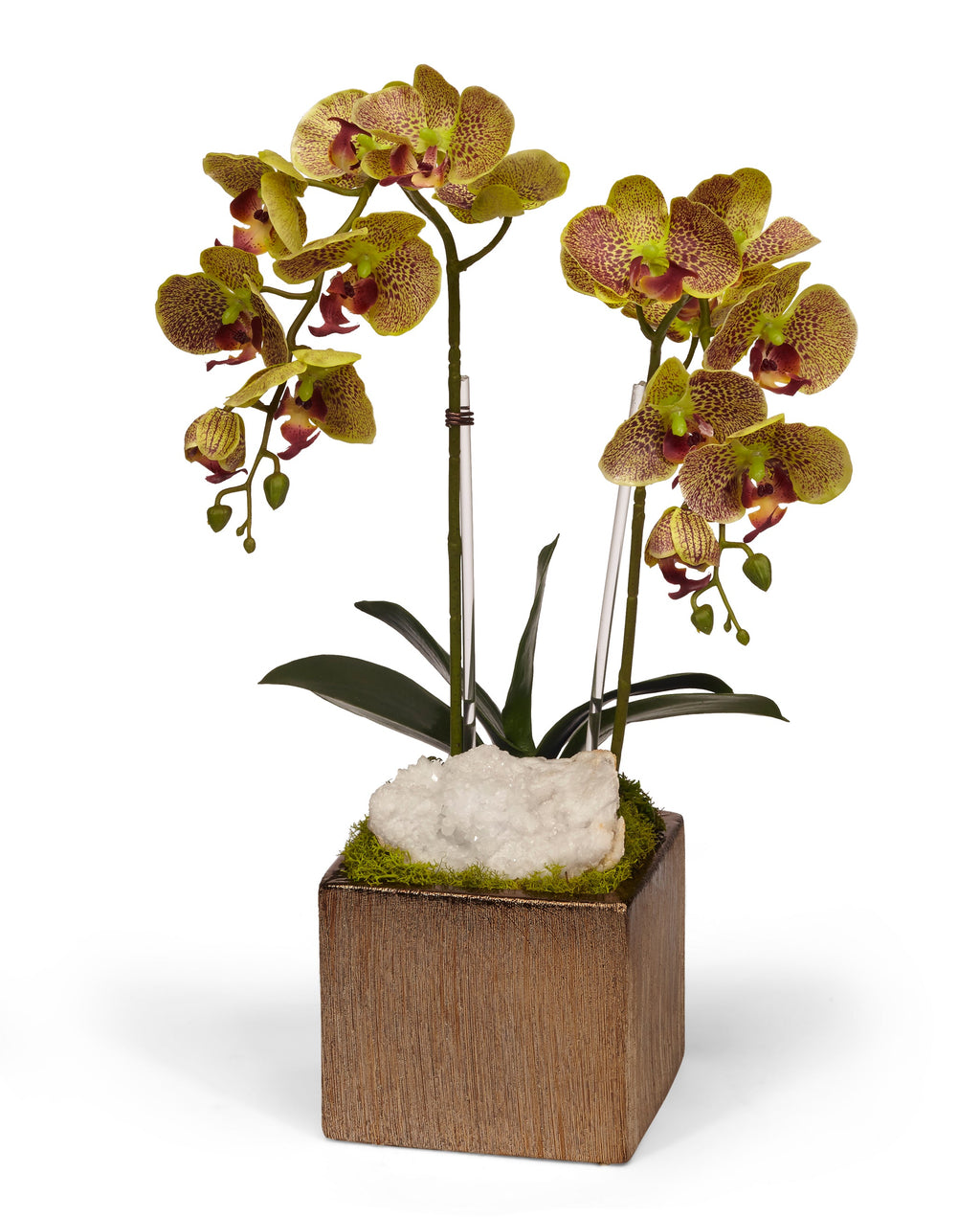 Double Orchid in Bronze Square