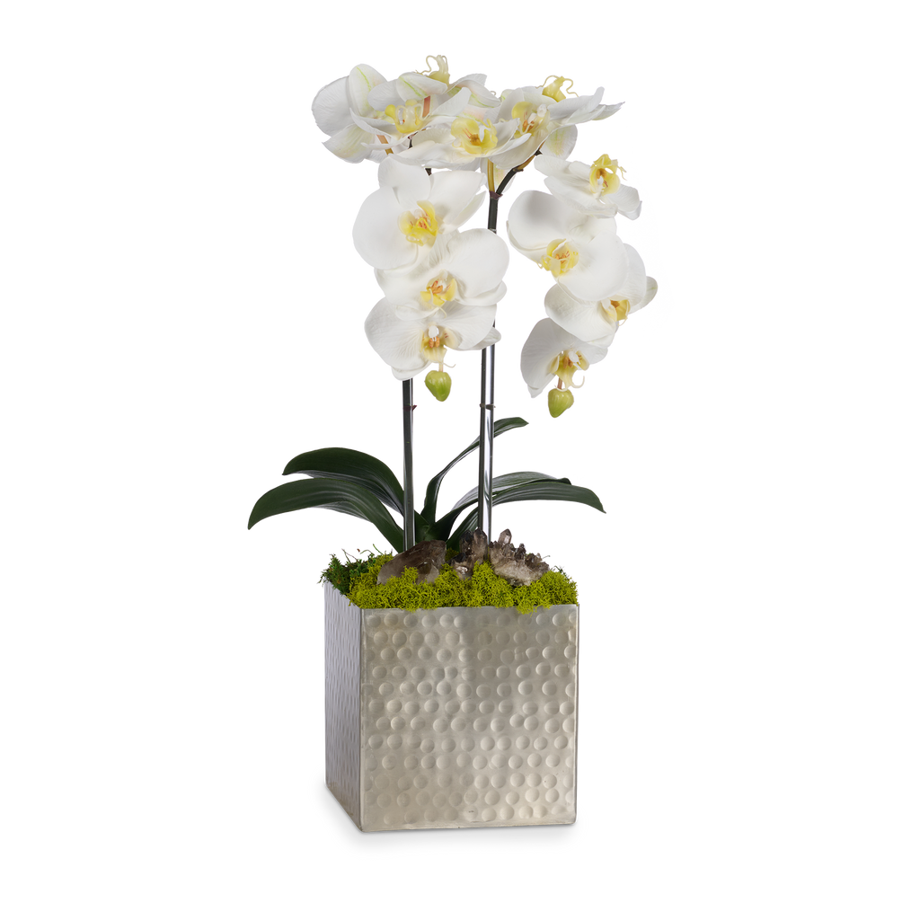 Double Orchids in Silver Hammered Metal Square Container with Quartz