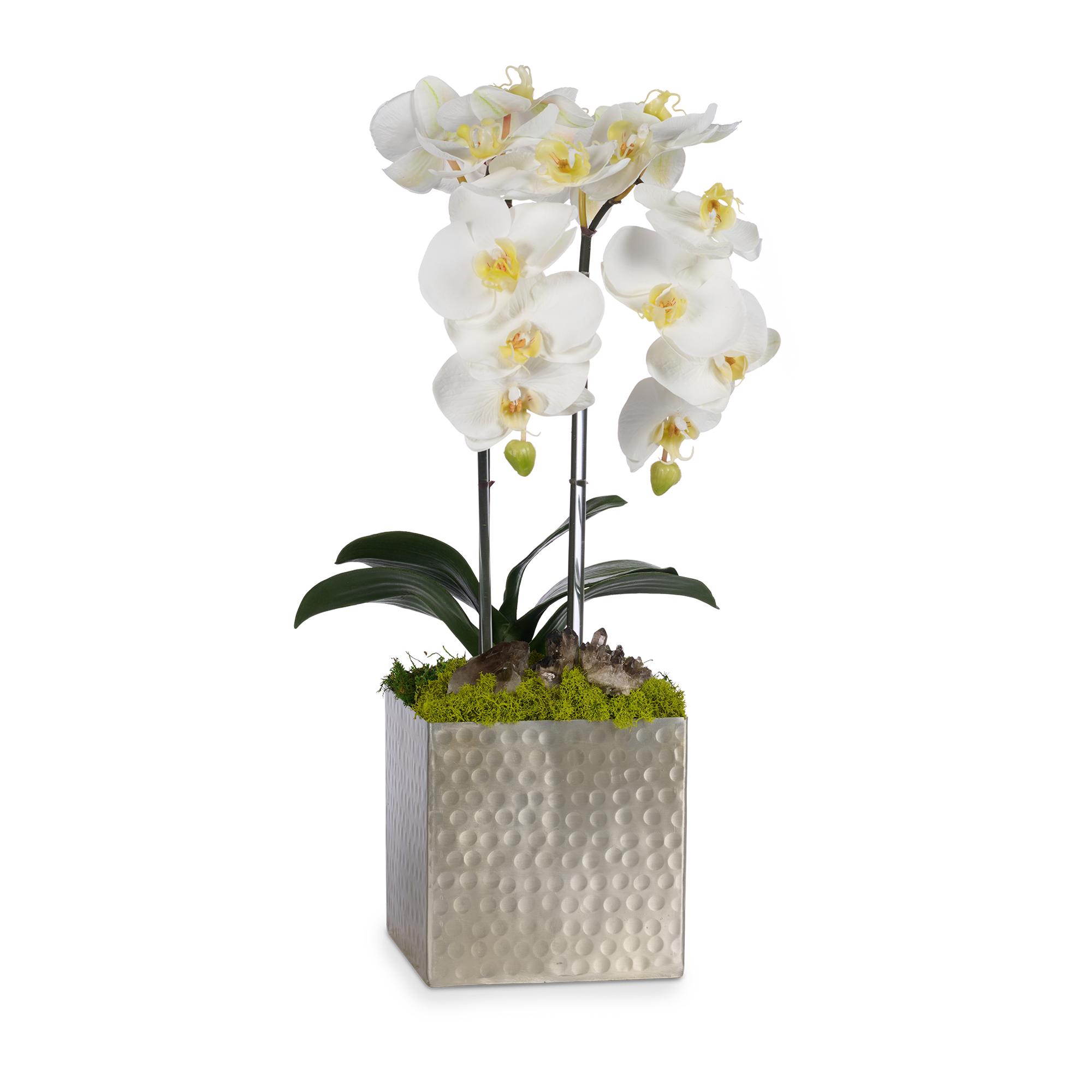 Double Orchids in Silver Hammered Metal Square Container with Quartz