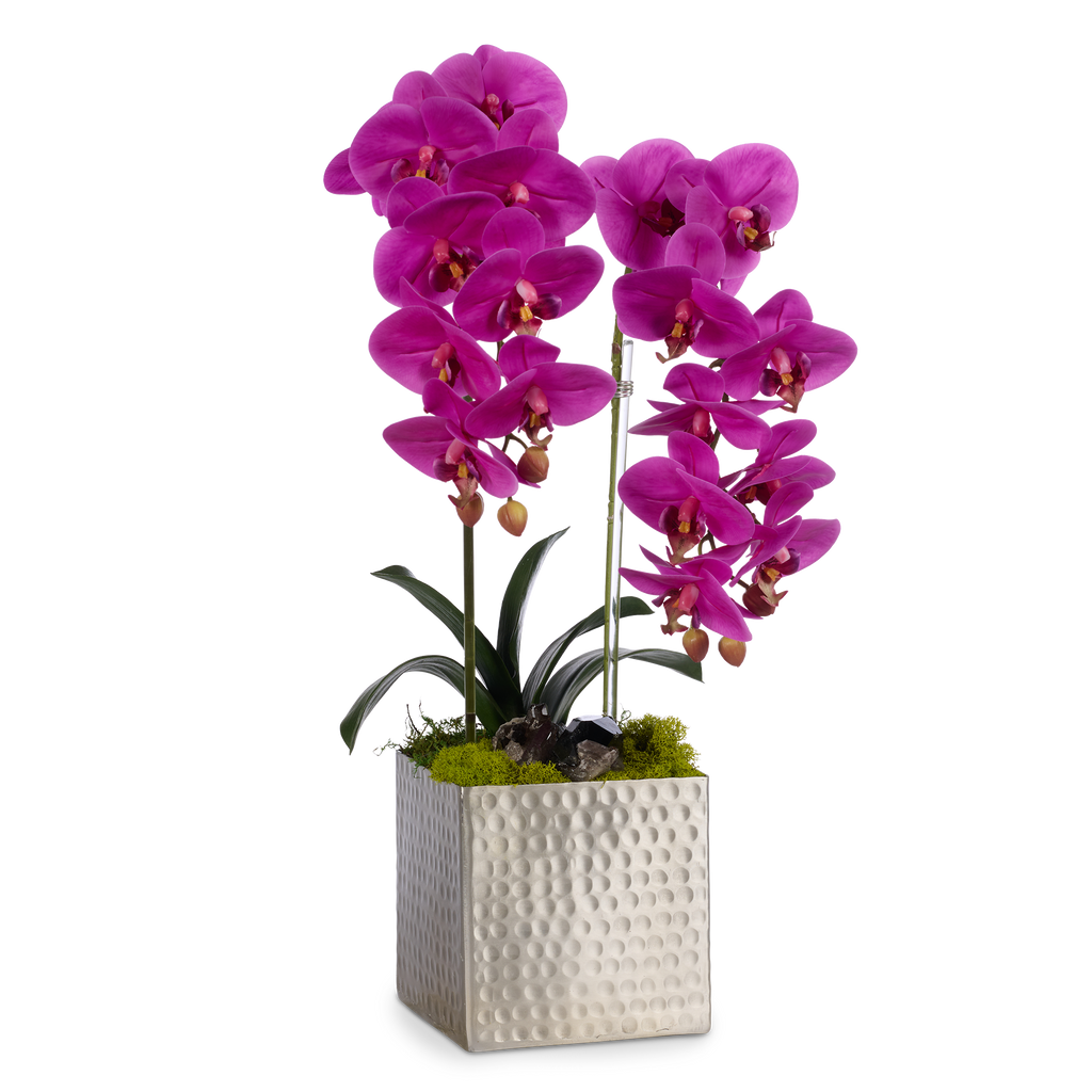 Double Orchids in Silver Hammered Metal Square Container with Quartz