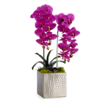 Double Orchids in Silver Hammered Metal Square Container with Quartz
