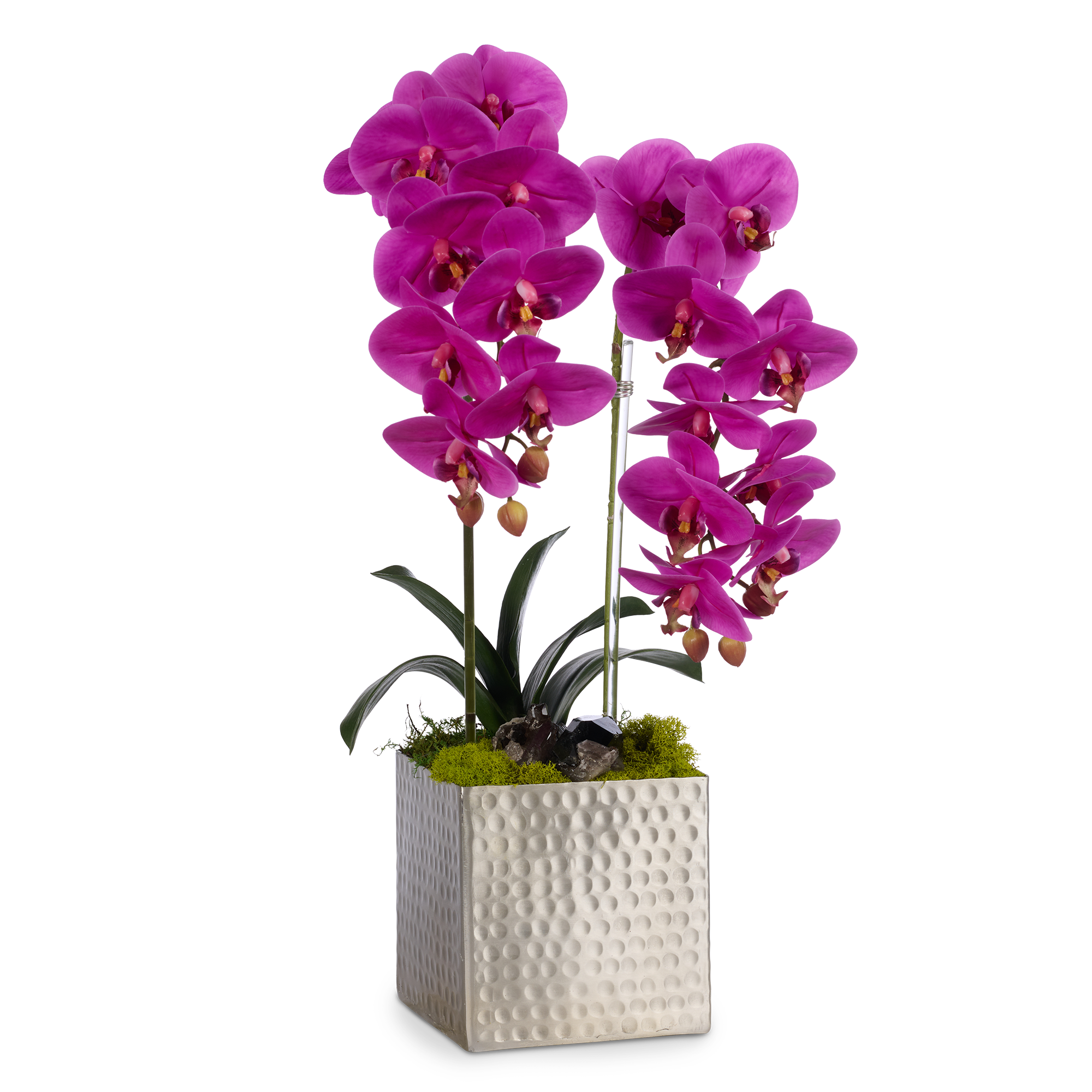 Double Orchids in Silver Hammered Metal Square Container with Quartz