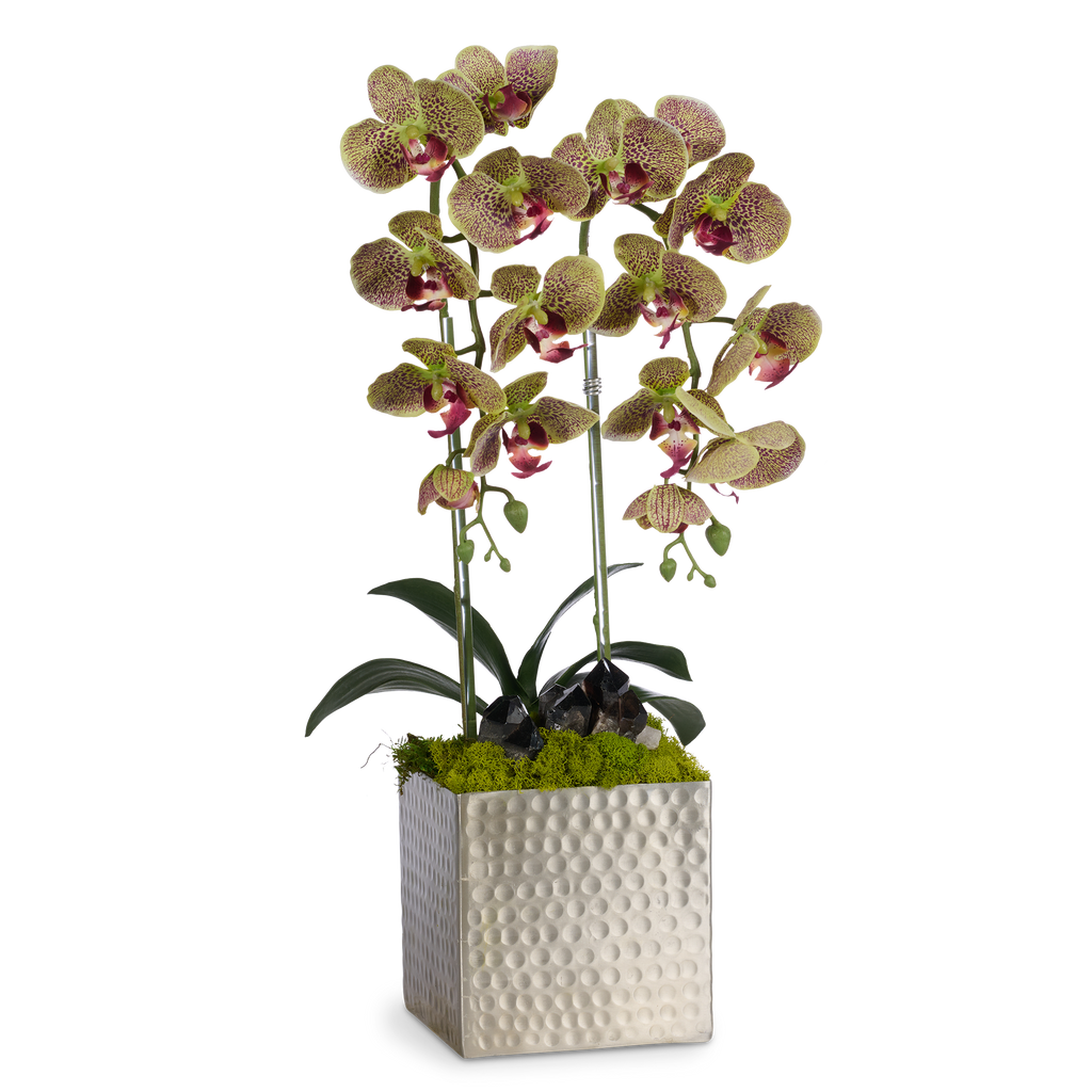 Double Orchids in Silver Hammered Metal Square Container with Quartz