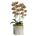 Double Orchids in Silver Hammered Metal Square Container with Quartz