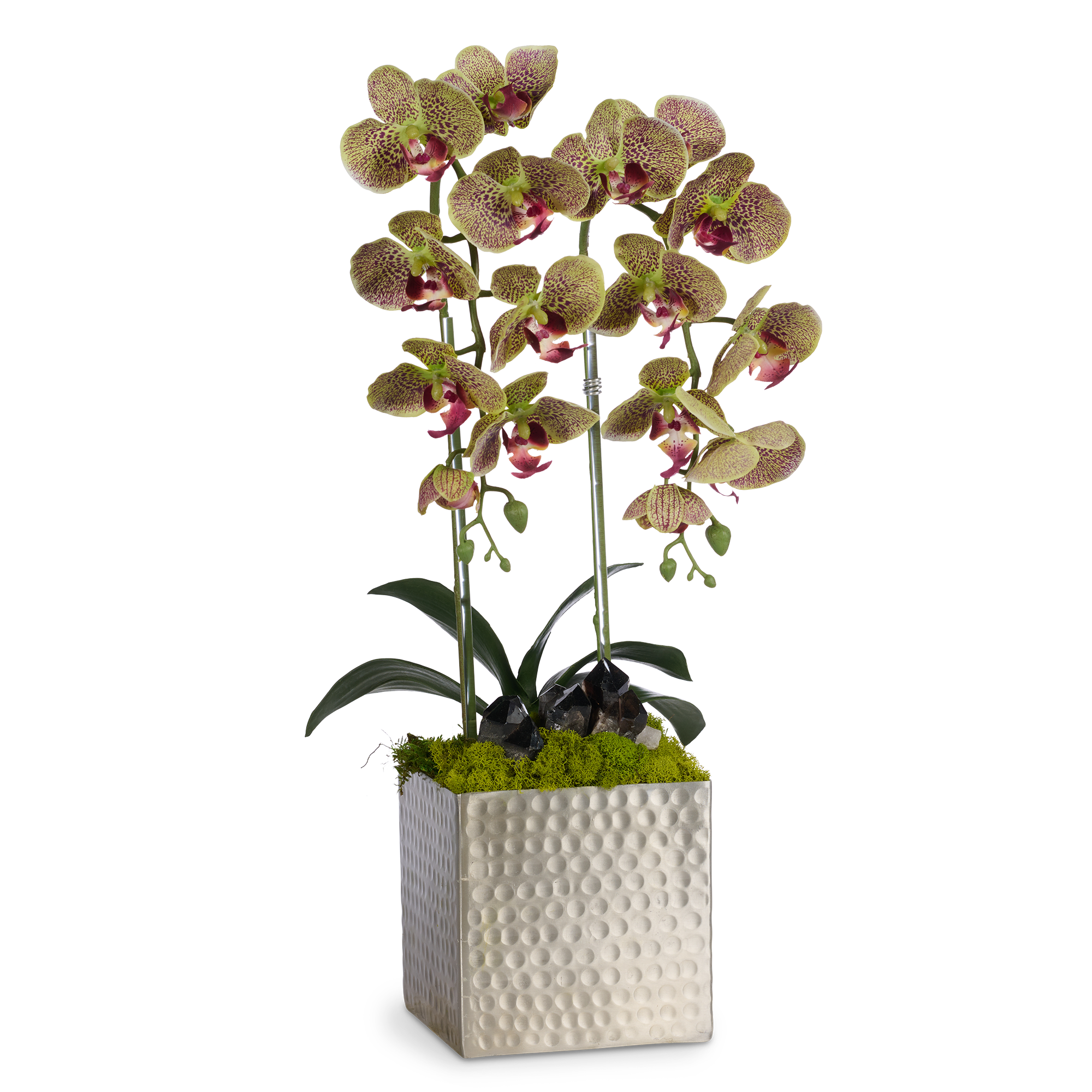 Double Orchids in Silver Hammered Metal Square Container with Quartz