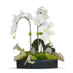 Orchids in Rectangle Ceramic Container