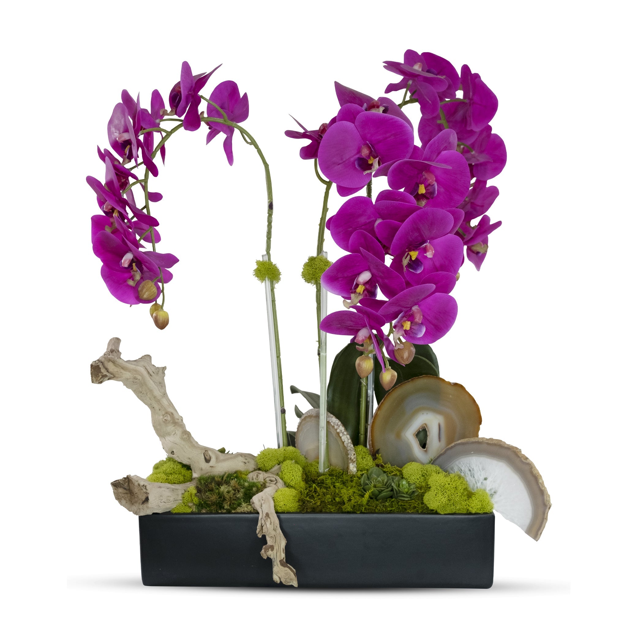 Orchids in Rectangle Ceramic Container