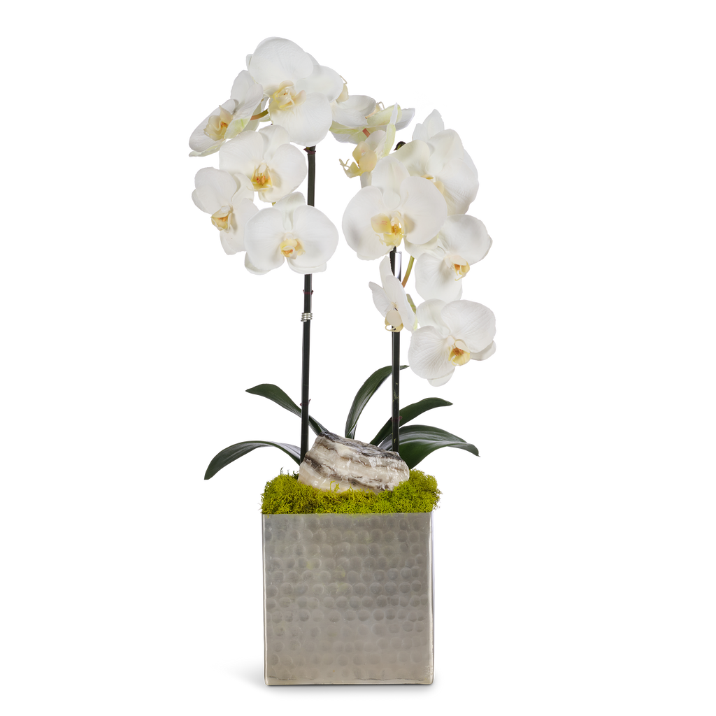 Double Orchids in Silver Hammered Metal Square Container with Quartz