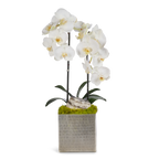 Double Orchids in Silver Hammered Metal Square Container with Quartz