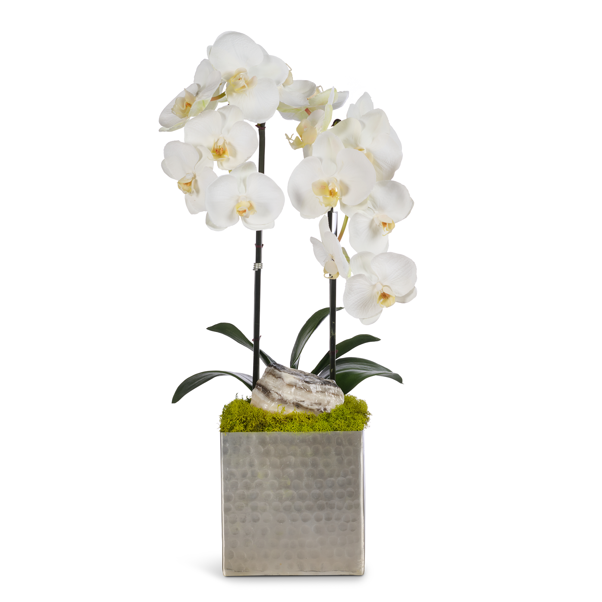 Double Orchids in Silver Hammered Metal Square Container with Quartz