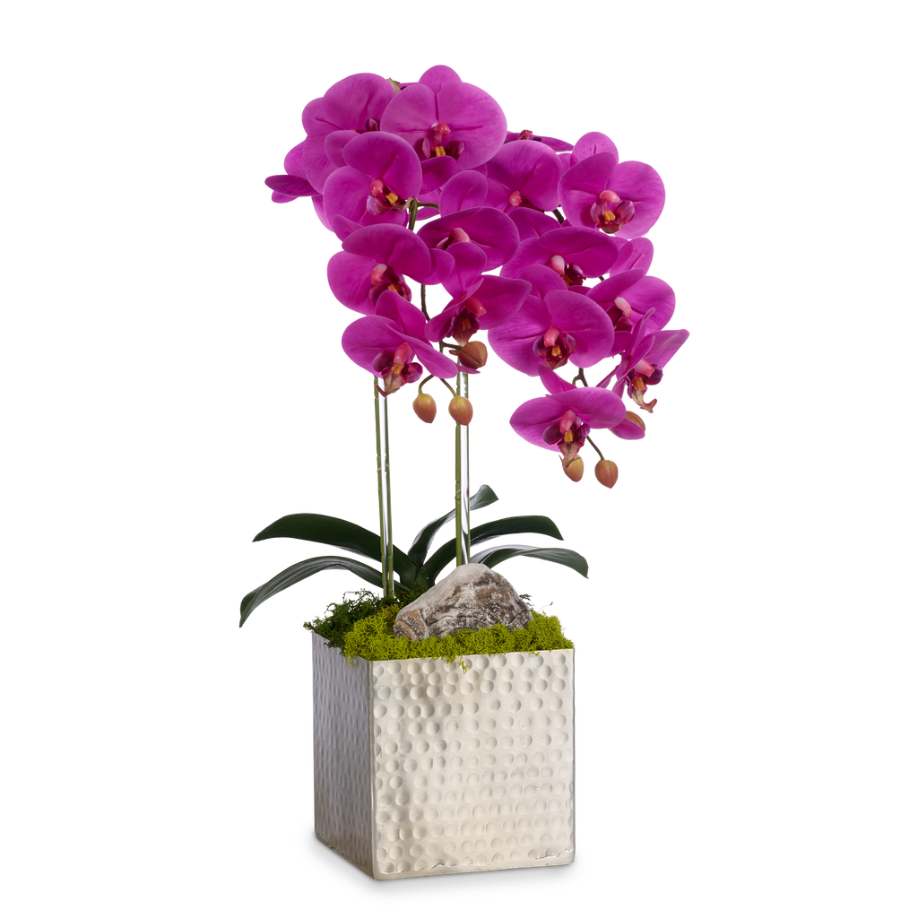 Double Orchids in Silver Hammered Metal Square Container with Quartz