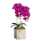 Double Orchids in Silver Hammered Metal Square Container with Quartz