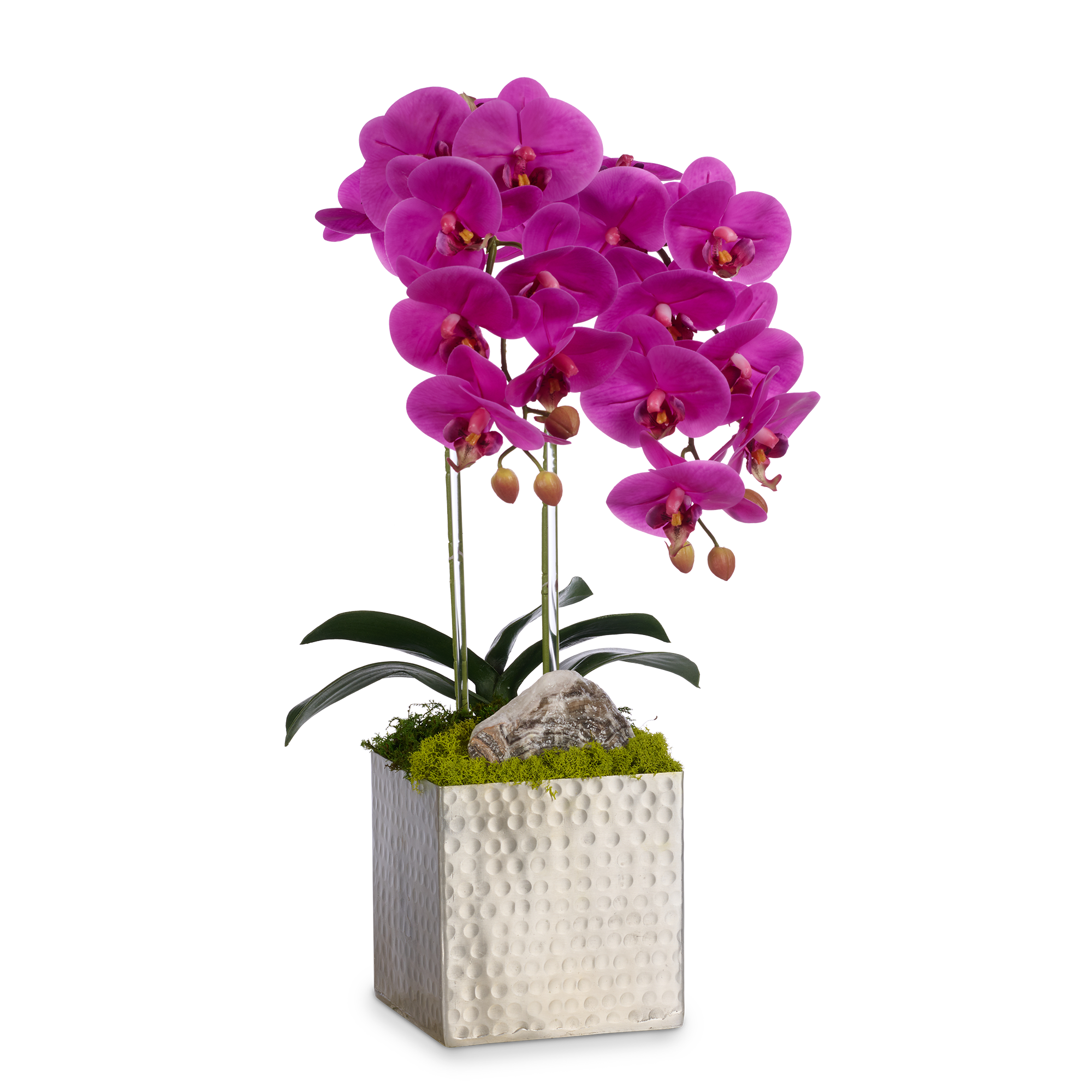 Double Orchids in Silver Hammered Metal Square Container with Quartz