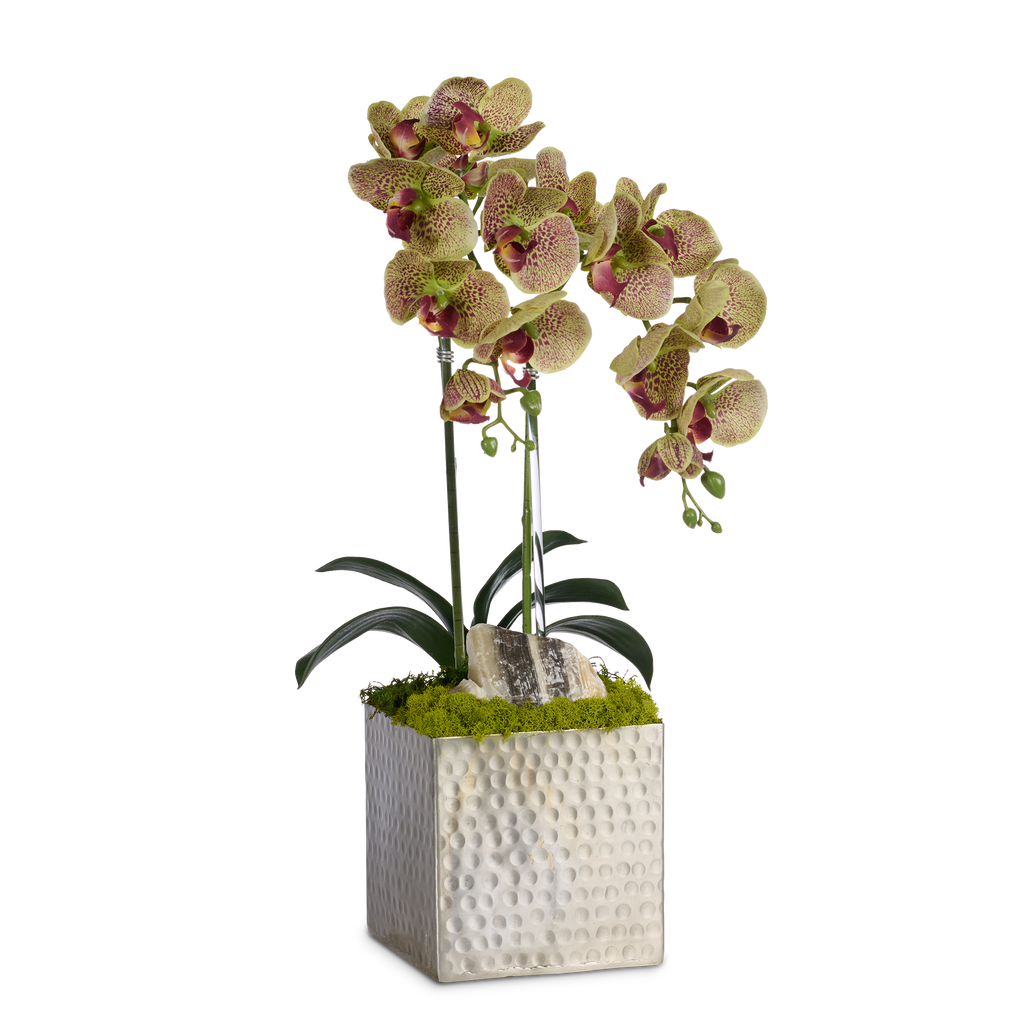 Double Orchids in Silver Hammered Metal Square Container with Quartz