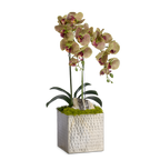 Double Orchids in Silver Hammered Metal Square Container with Quartz