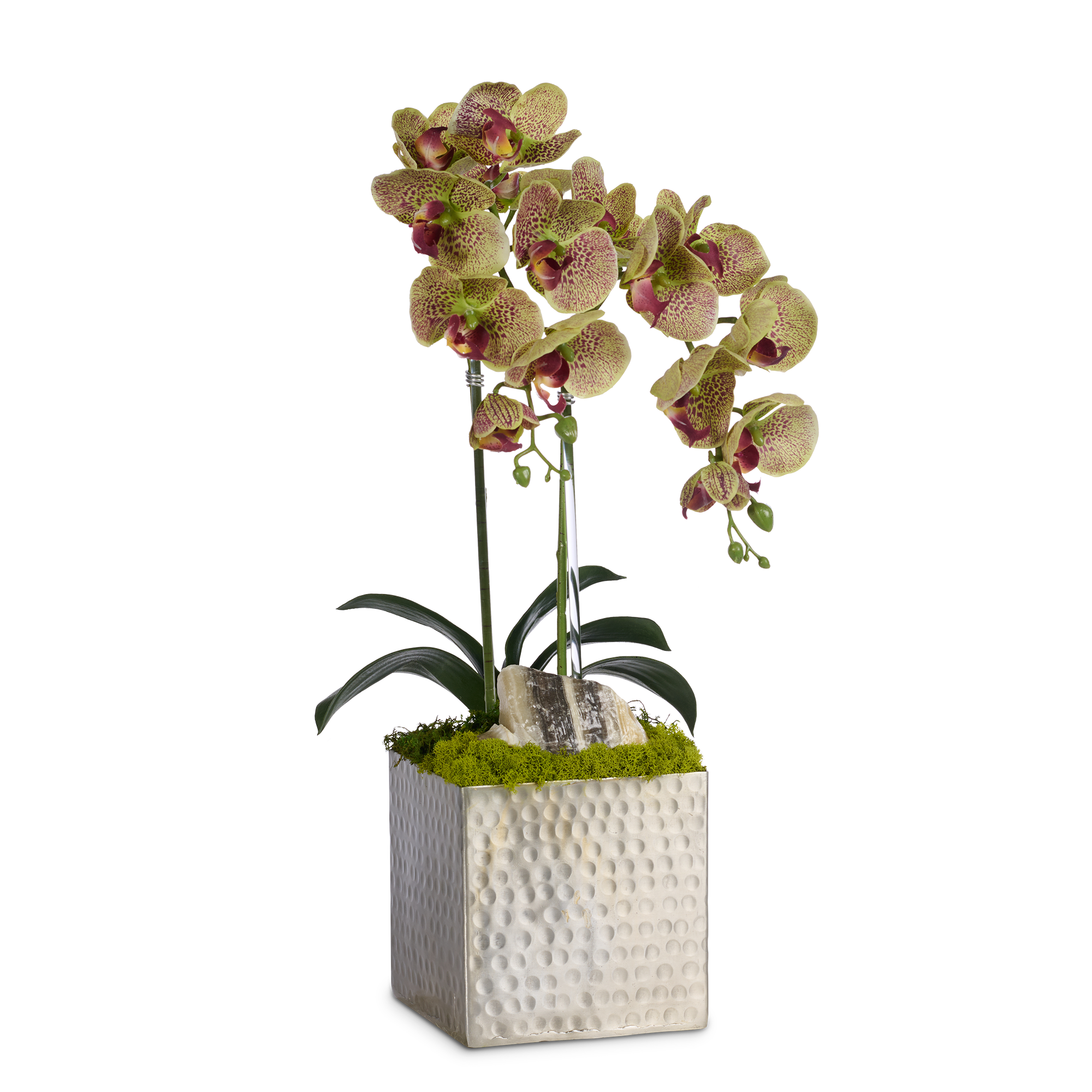 Double Orchids in Silver Hammered Metal Square Container with Quartz