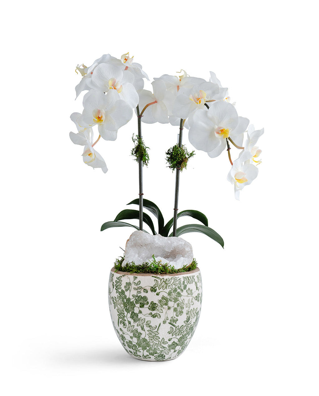 Double  Orchid in Green & White Floral Ceramic Vase