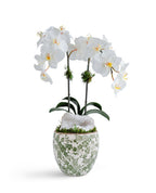Double  Orchid in Green & White Floral Ceramic Vase