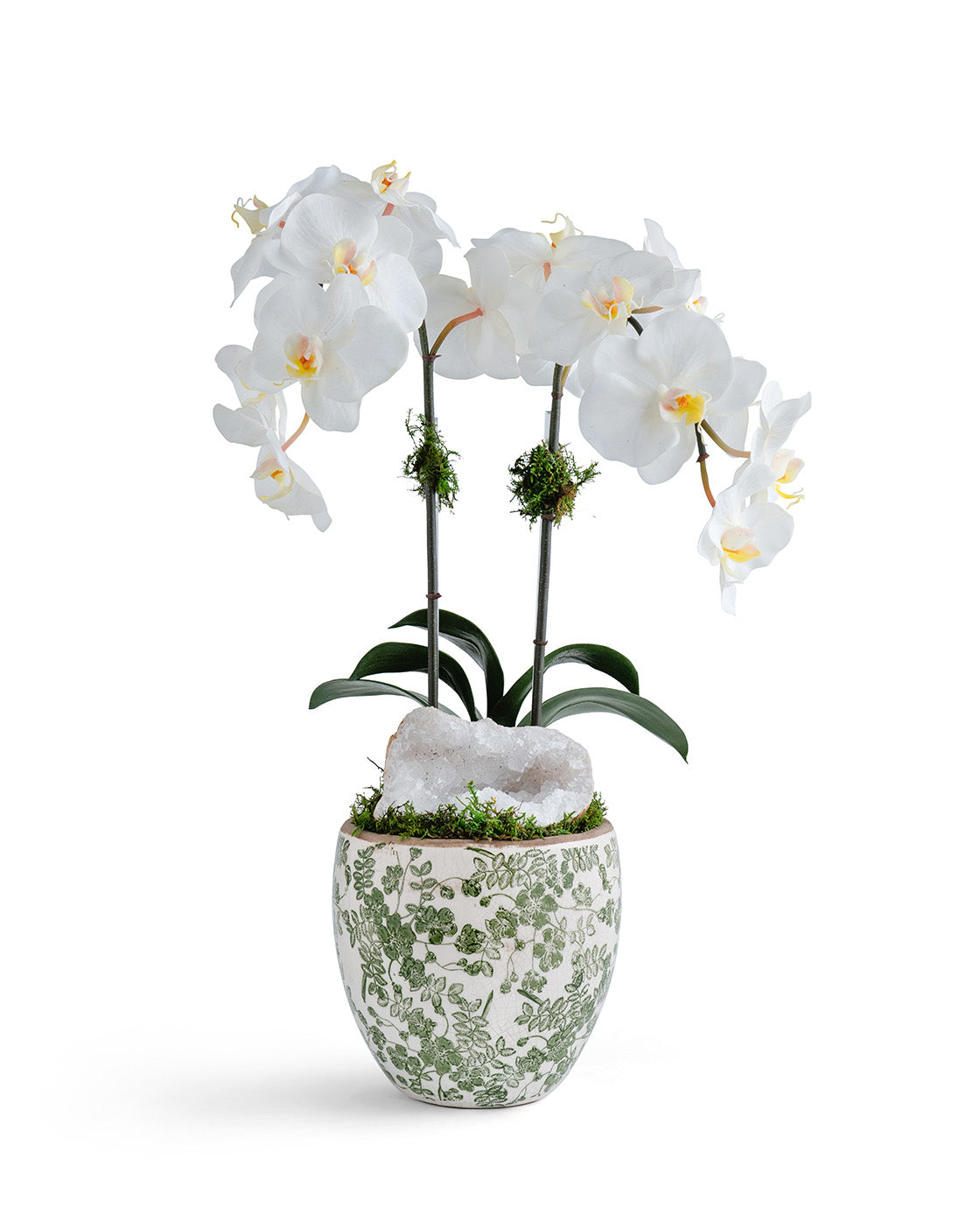 Double  Orchid in Green & White Floral Ceramic Vase