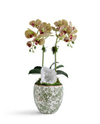 Double  Orchid in Green & White Floral Ceramic Vase