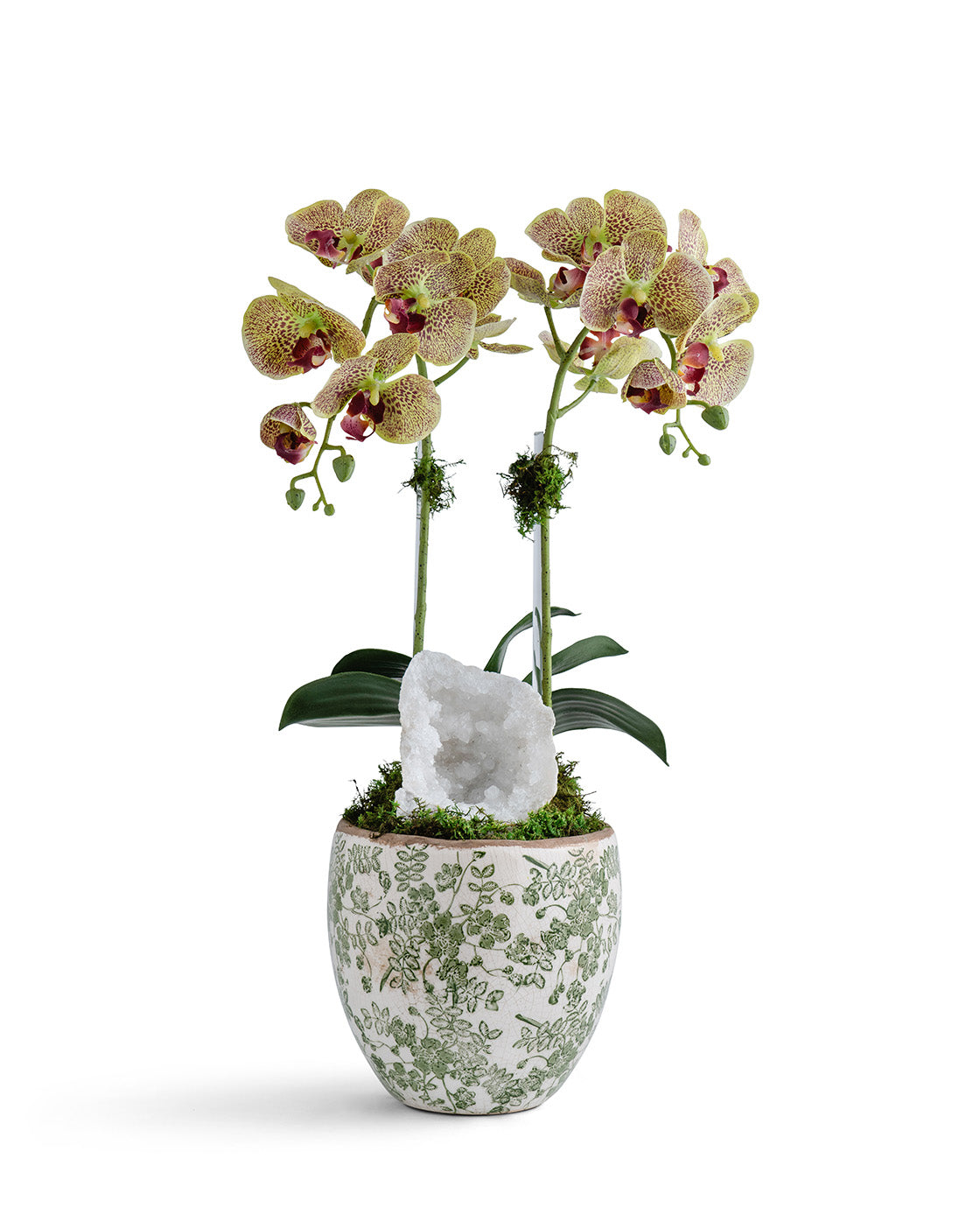Double  Orchid in Green & White Floral Ceramic Vase