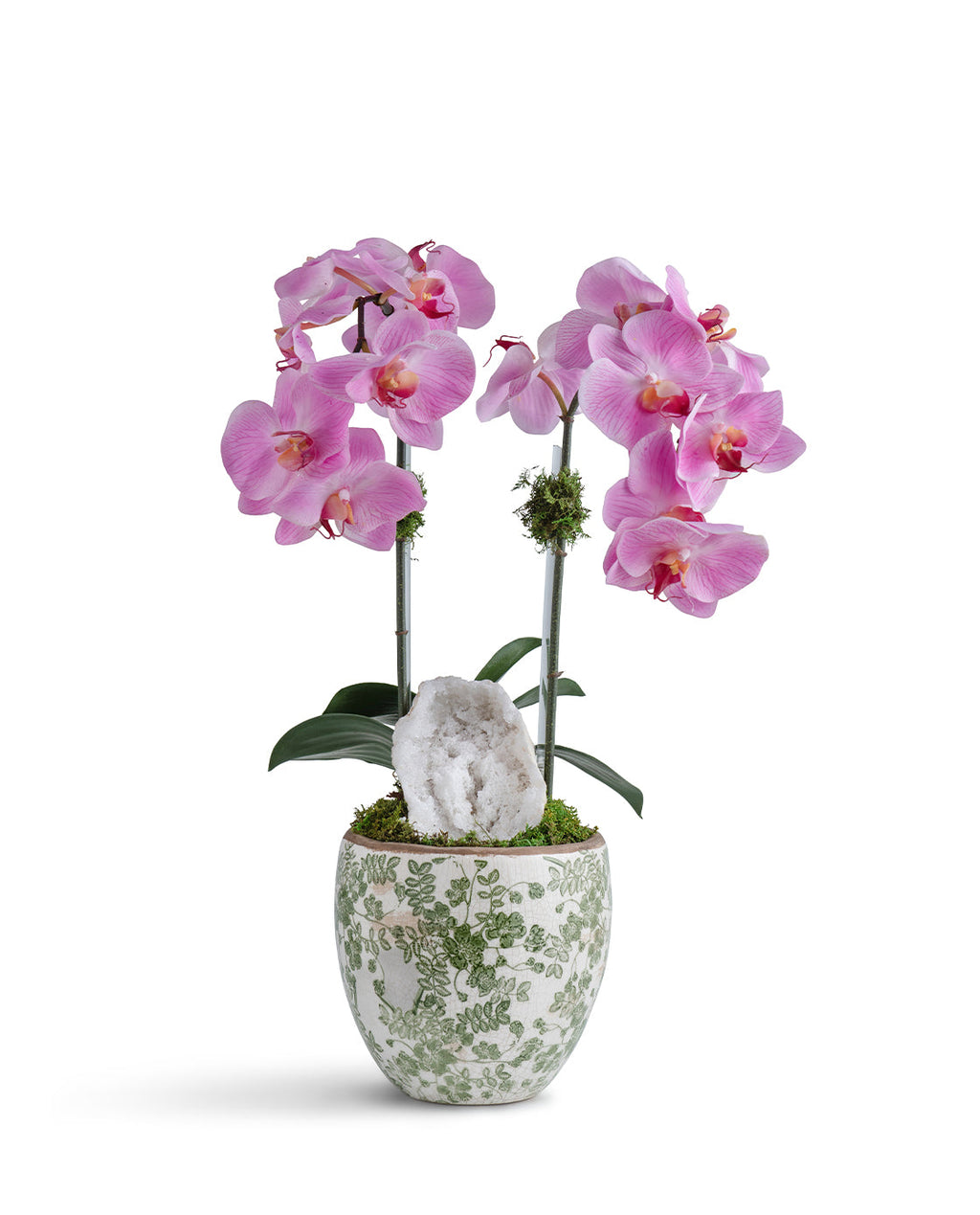 Double  Orchid in Green & White Floral Ceramic Vase