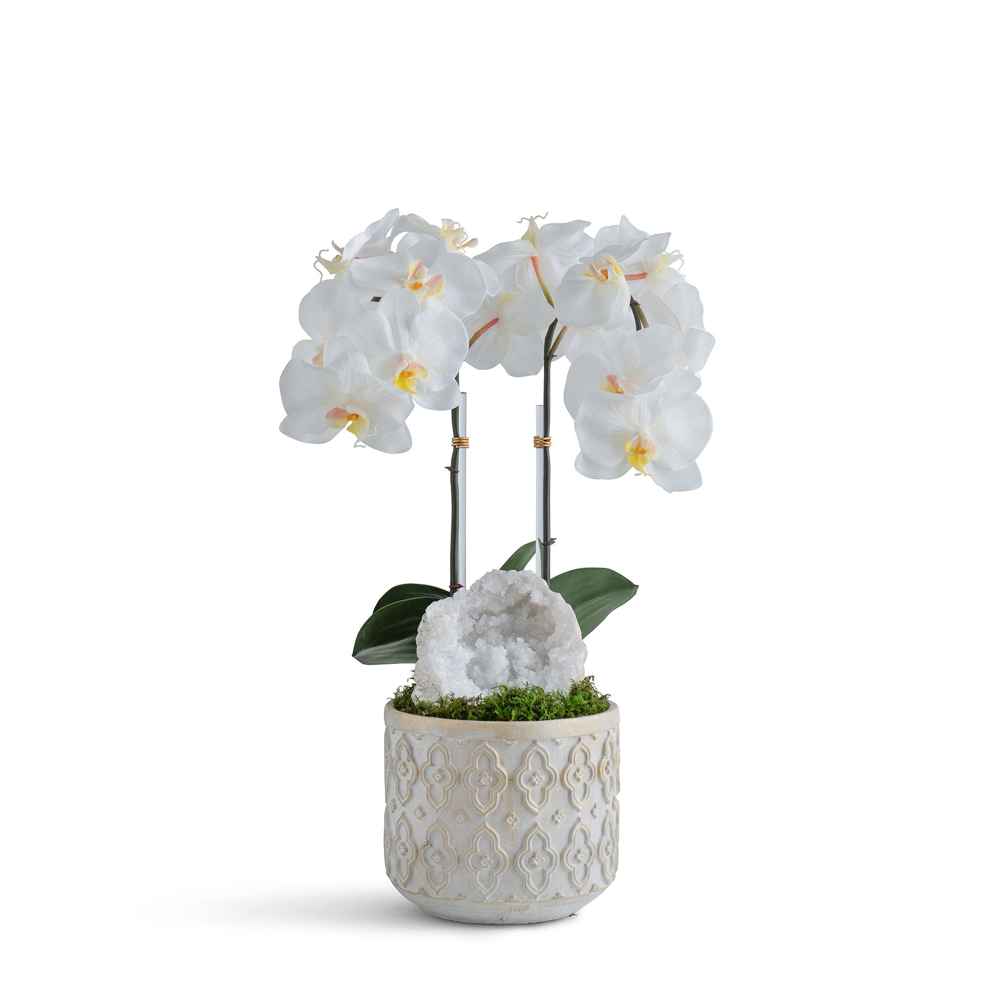 Double Orchid in Pattern Concrete Pot