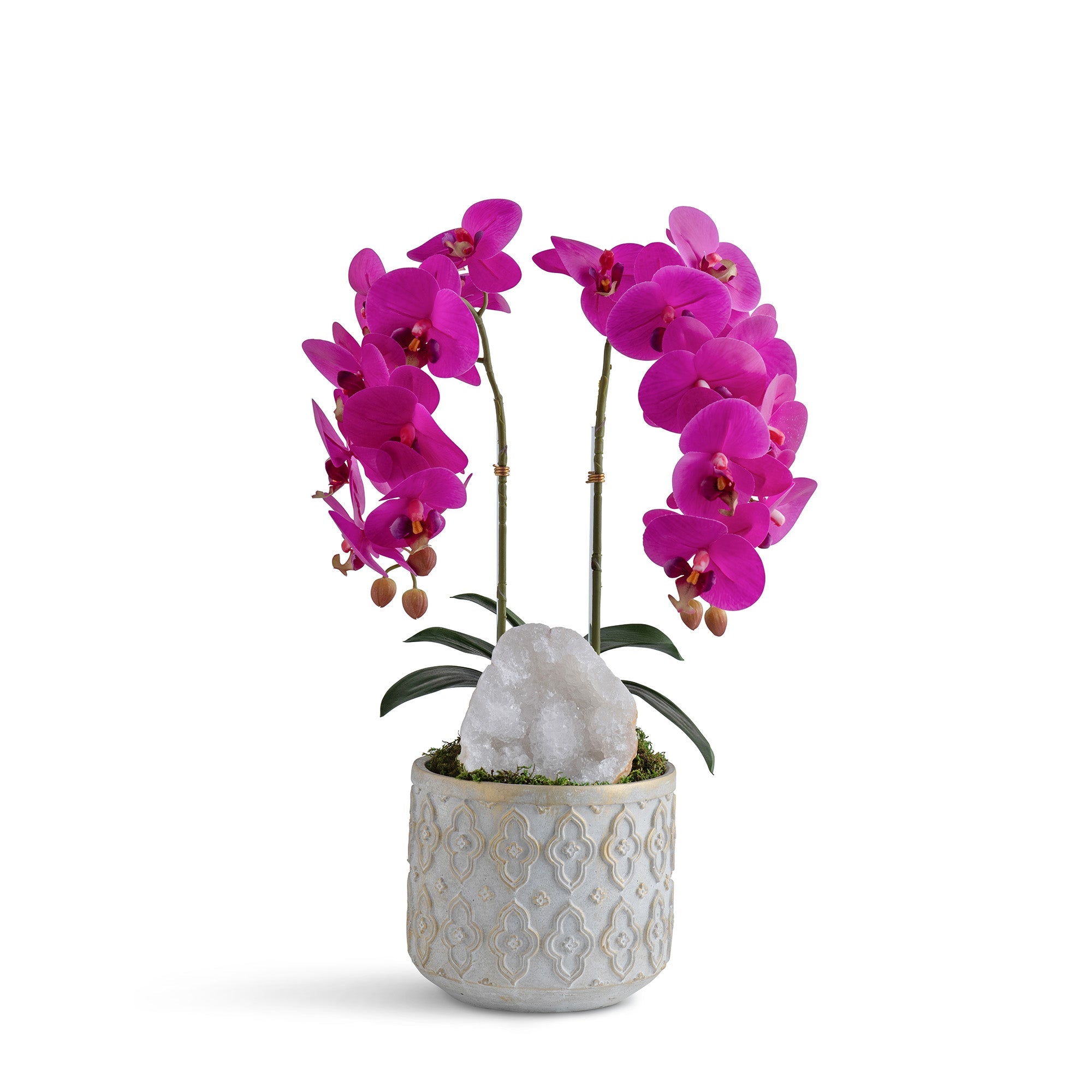 Double Orchid in Pattern Concrete Pot