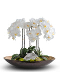 Orchids in Mixed Metal Planter with Real Quartz Stone