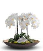 Orchids in Mixed Metal Planter with Real Quartz Stone