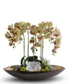 Orchids in Mixed Metal Planter with Real Quartz Stone