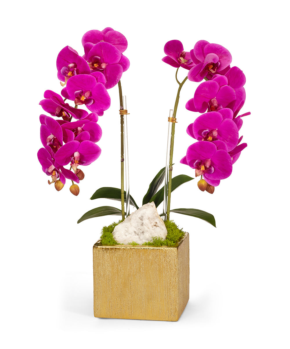 Double Orchid in Gold Square VivoPetal