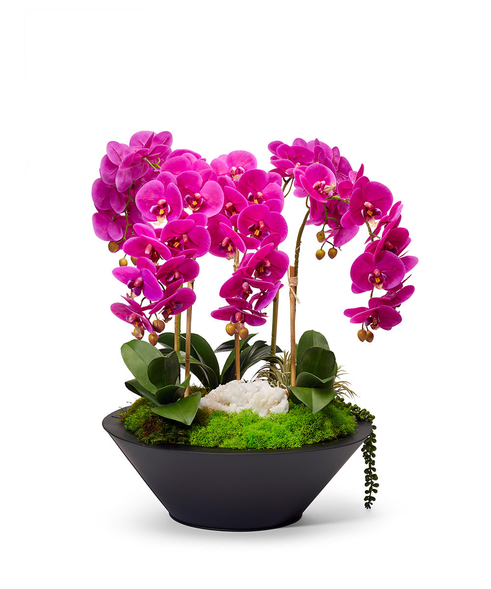 Orchids in Sleek Round Container VivoPetal