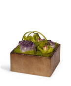 Orchids in Bronze Square Faux Cymbidium Orchid Arrangement | VivoPetal