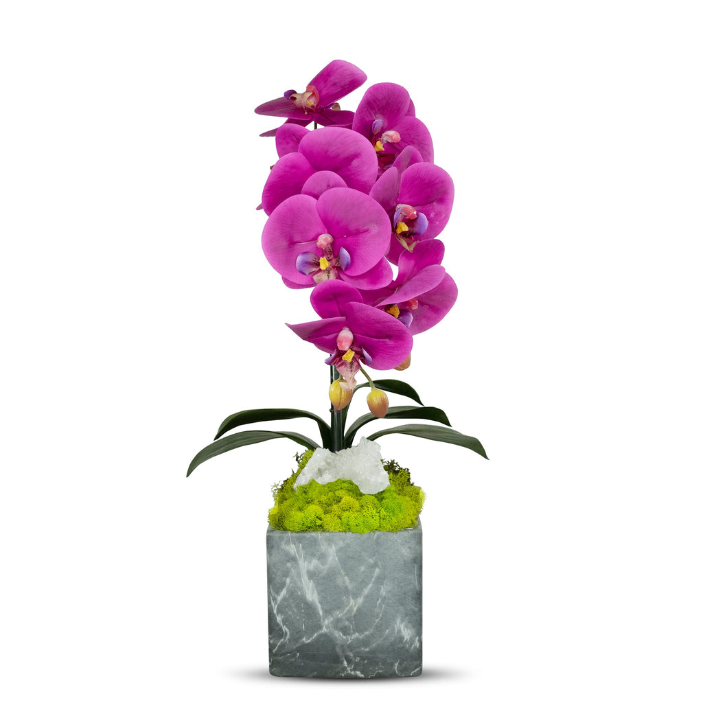 Single Orchid in Faux Marble Container VivoPetal