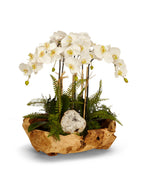 Orchids in Wood Bowl VivoPetal
