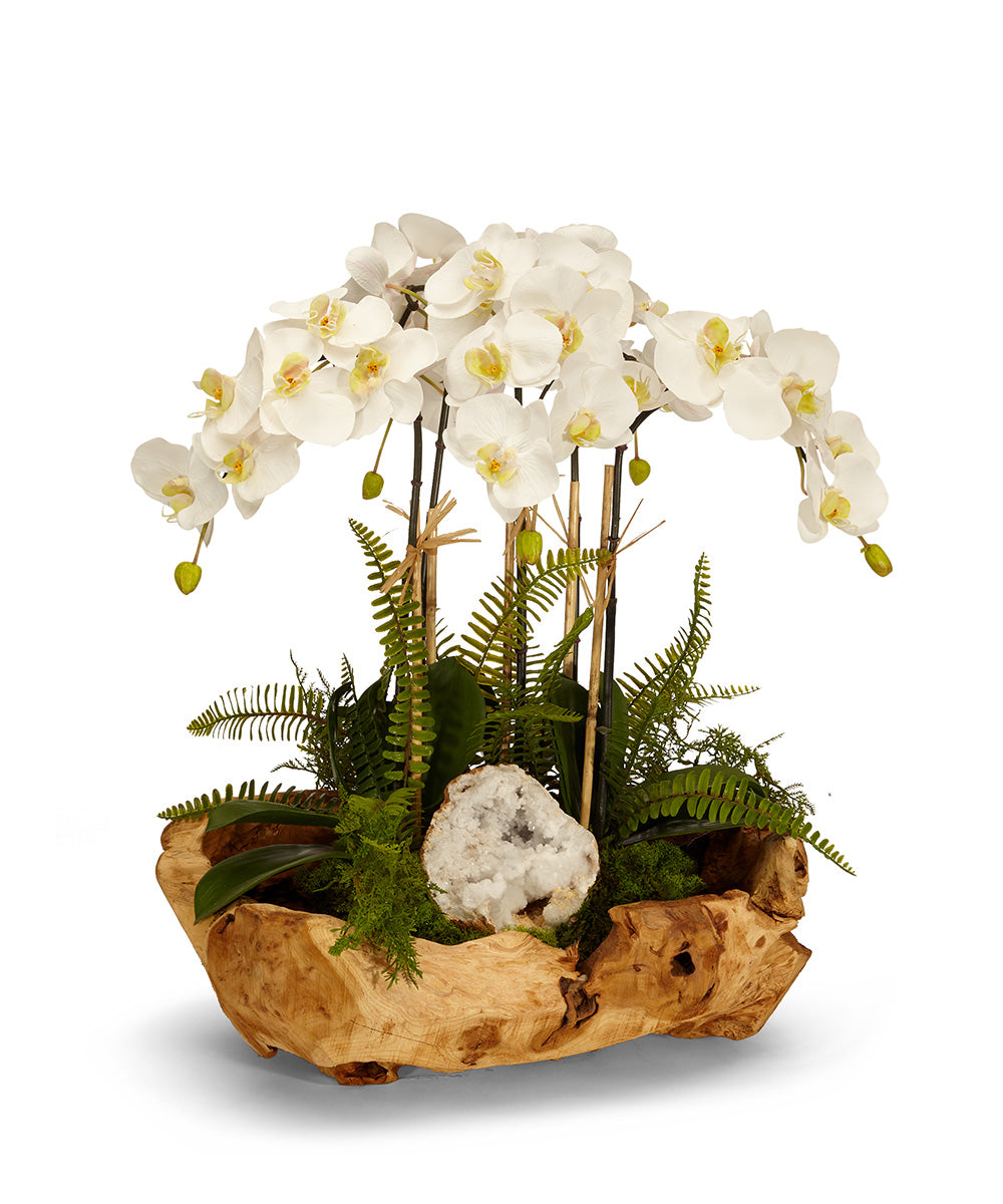 Orchids in Wood Bowl VivoPetal