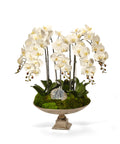 Orchid and Crystal in Large Silver Urn
