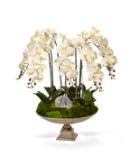 Orchid and Crystal in Large Silver Urn