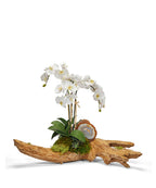 Orchids on Driftwood Faux Orchid Centerpiece by VivoPetal