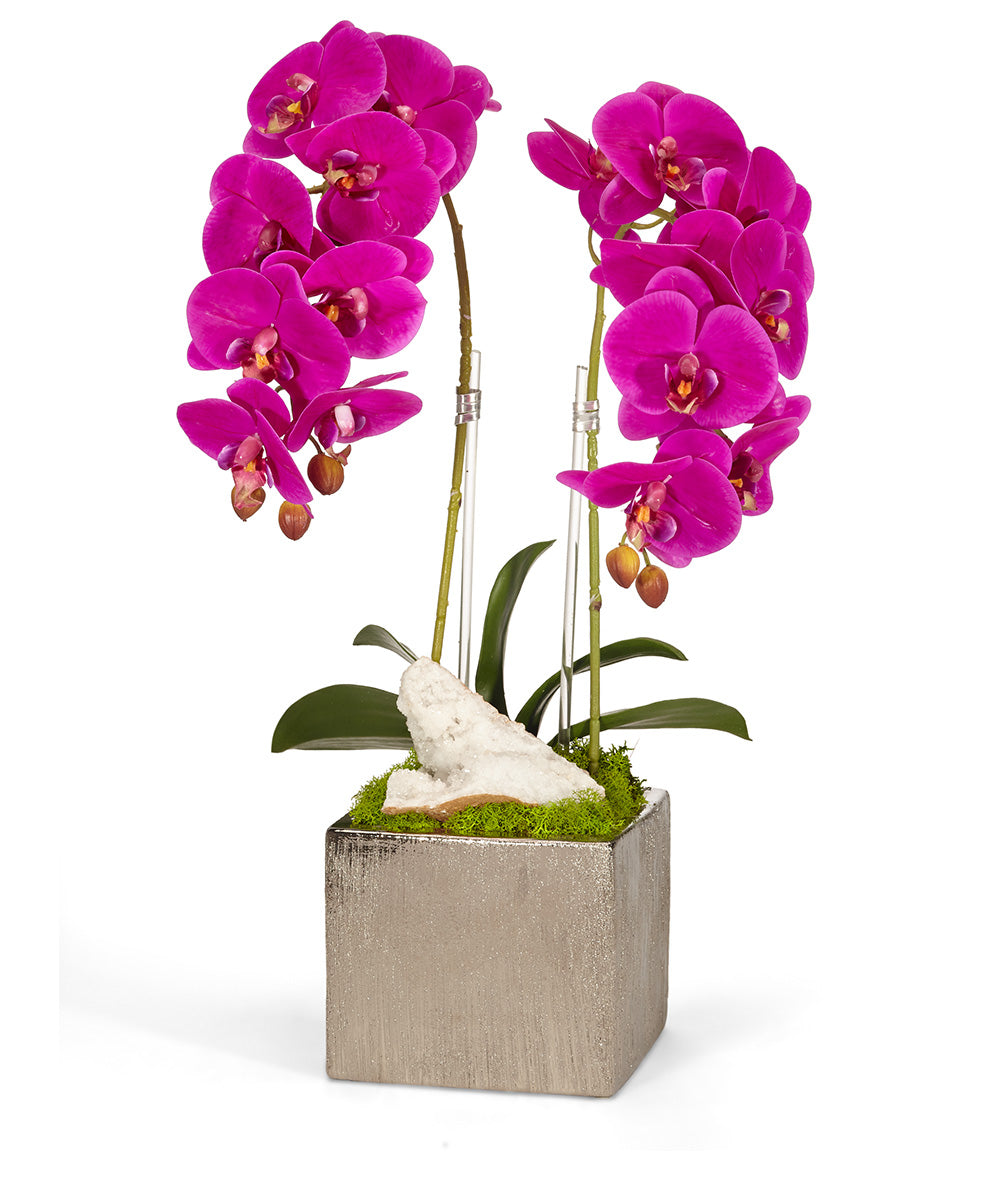 Double Orchid in Silver Square VivoPetal