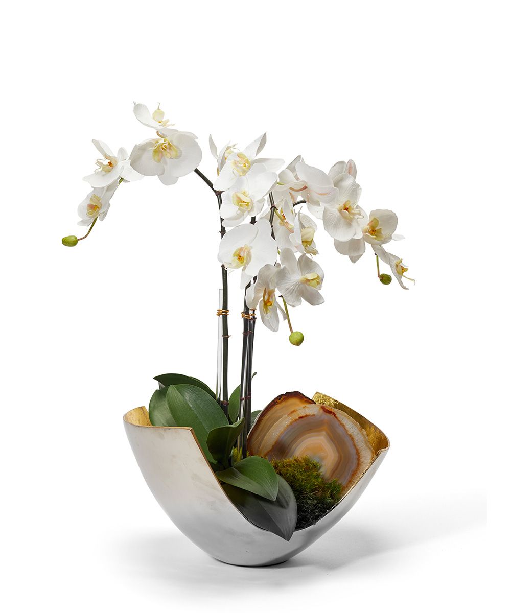 Orchids in Mixed Metal Scoop VivoPetal