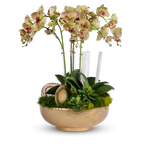 Orchids in Gold Hammered Metal Bowl with Selenite & Agate Slabs VivoPetal
