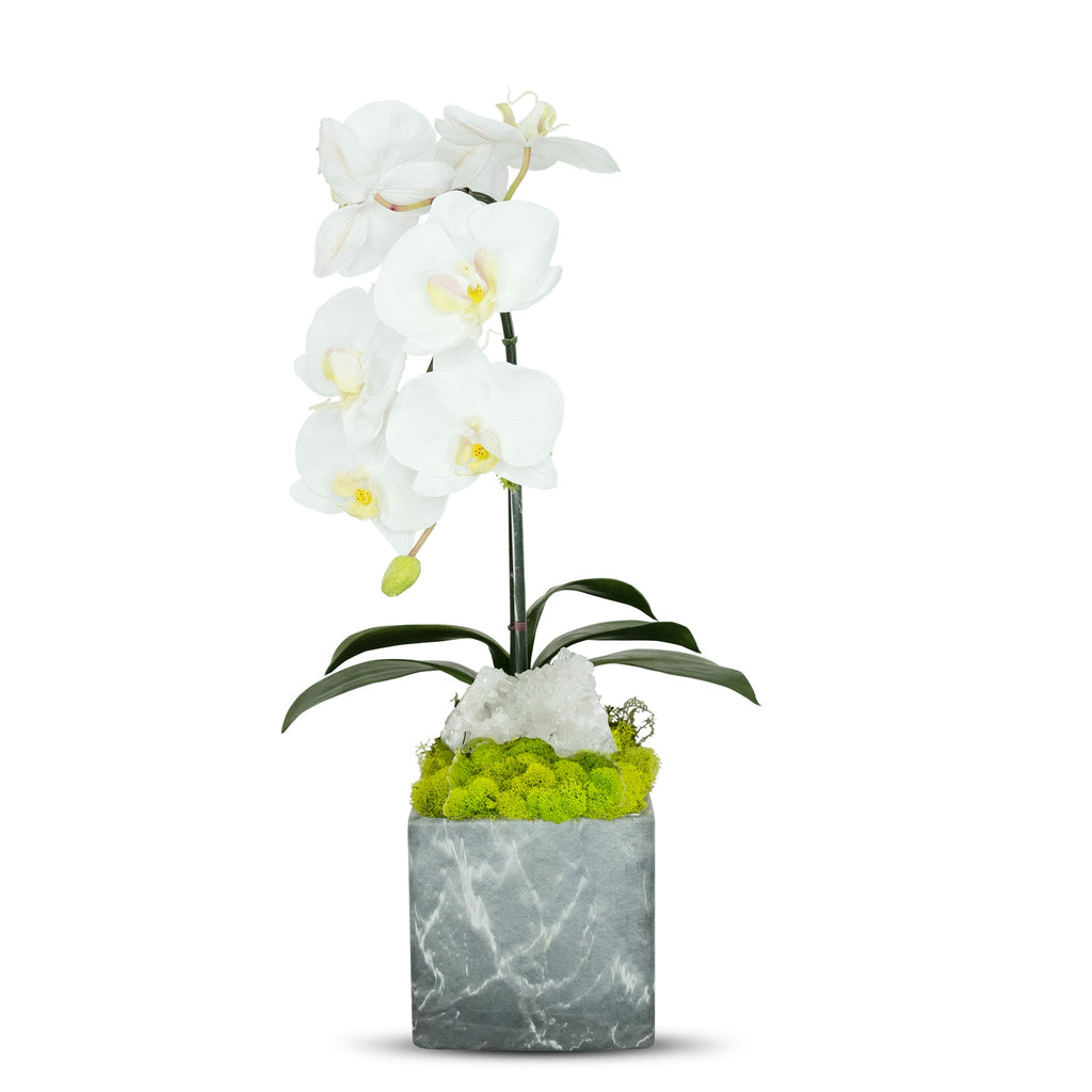 Single Orchid in Faux Marble Container VivoPetal
