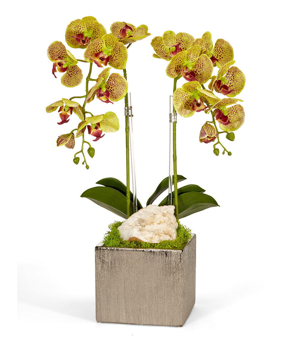 Double Orchid in Silver Square VivoPetal