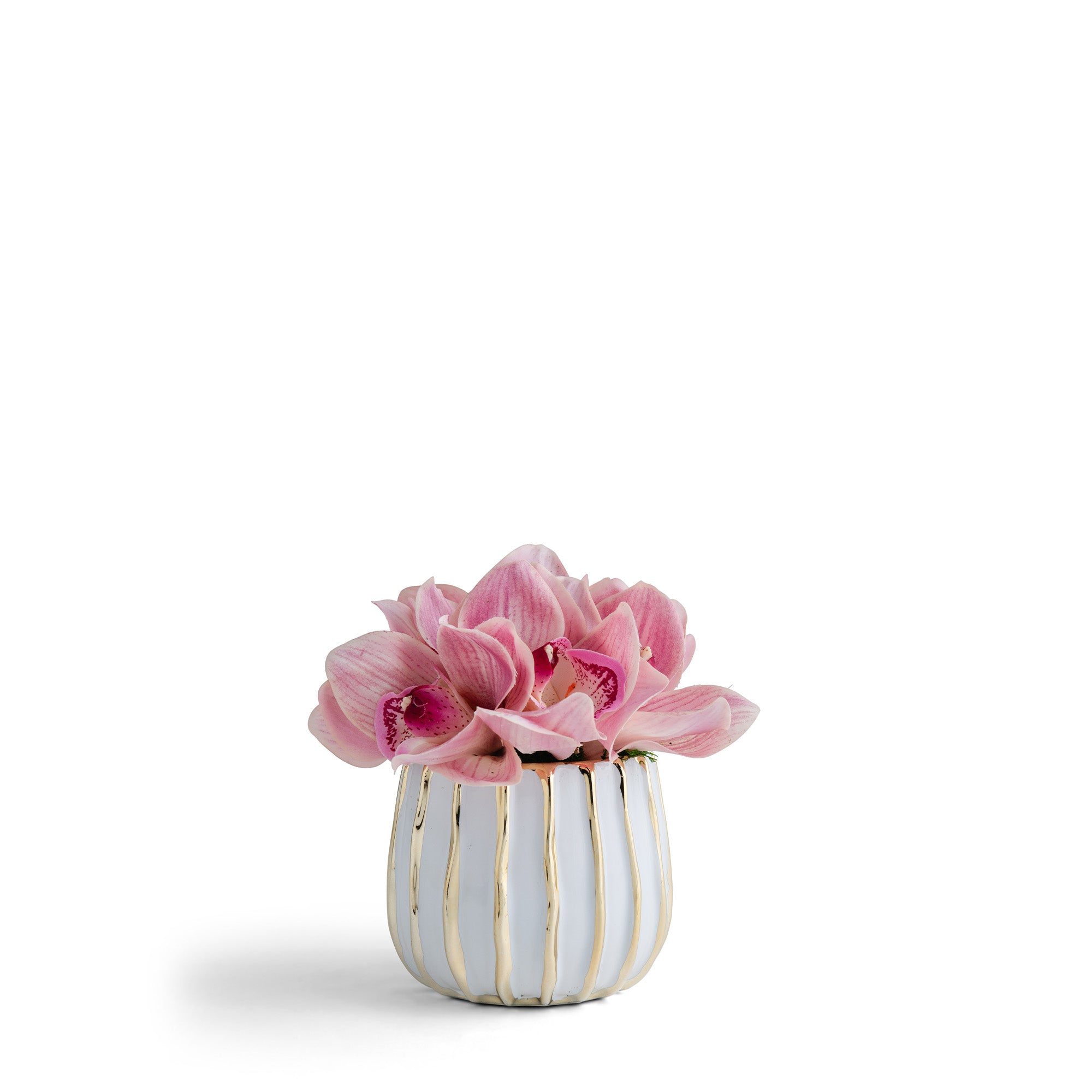 Cymbidium Orchid in Gold-White Ceramic Preserved Floral Arrangement | VivoPetal