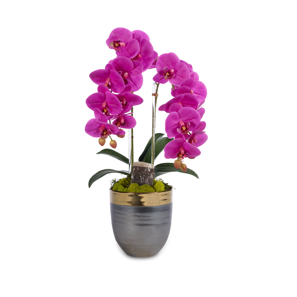 Double Orchids in Bronze Container with Gold Rim VivoPetal